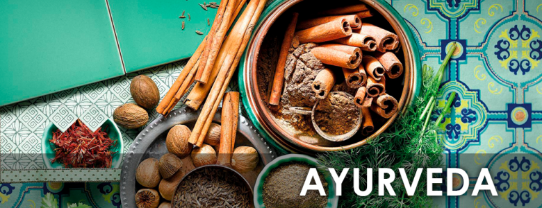 El Ayurveda y los Doshas