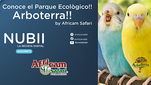 Conoce el parque ecológico Arboterra by Africam Safari.