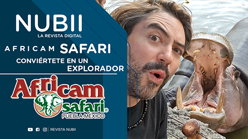 Africam Safari! Conviértete en explorador en el parque de conservación mas grande de América Latina.